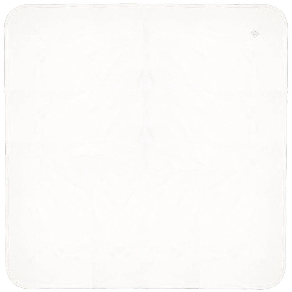 Baby Soft Blanket